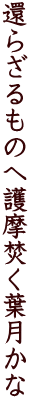 還らざるものへ護摩焚く葉月かな